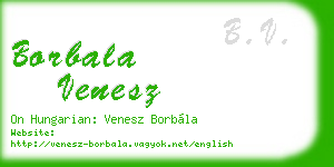 borbala venesz business card